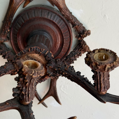 Early 20th-century Black Forest Antler Sconce Pair