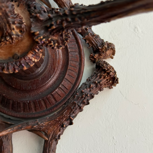 Early 20th-century Black Forest Antler Sconce Pair