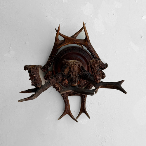 Early 20th-century Black Forest Antler Sconce Pair
