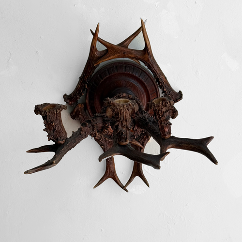 Early 20th-century Black Forest Antler Sconce Pair