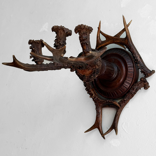Early 20th-century Black Forest Antler Sconce Pair
