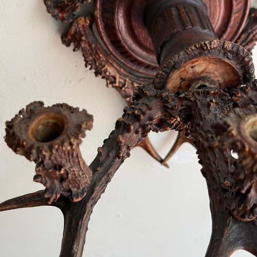 Early 20th-century Black Forest Antler Sconce Pair