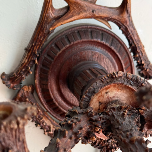 Early 20th-century Black Forest Antler Sconce Pair