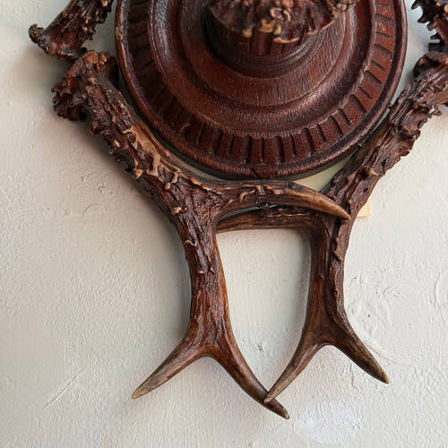 Early 20th-century Black Forest Antler Sconce Pair