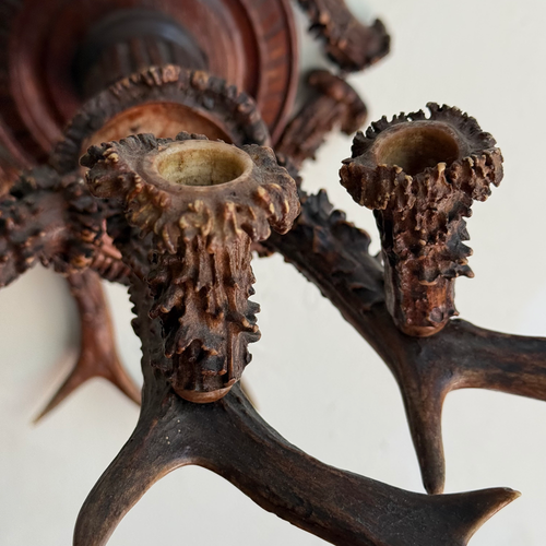 Early 20th-century Black Forest Antler Sconce Pair
