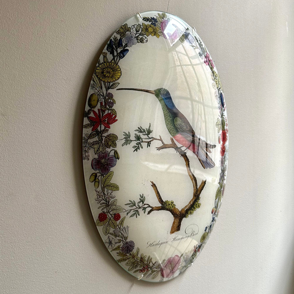 Harlequin Hummingbird with Flowers (Convex)