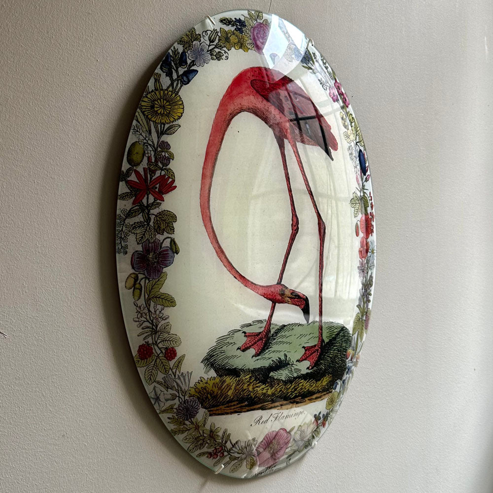 Flamingo with Flowers (Convex)