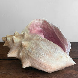 Papier-Mâché Queen Conch Shell