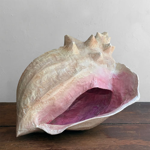 Papier-Mâché Queen Conch Shell