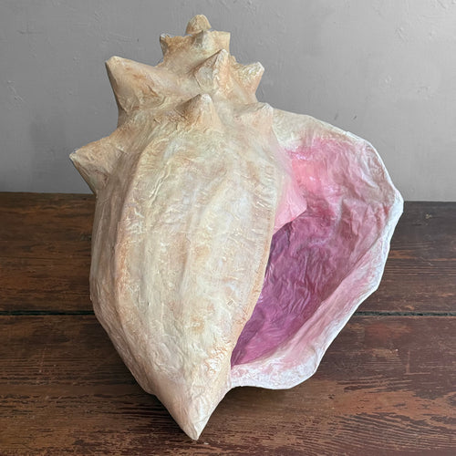 Papier-Mâché Queen Conch Shell