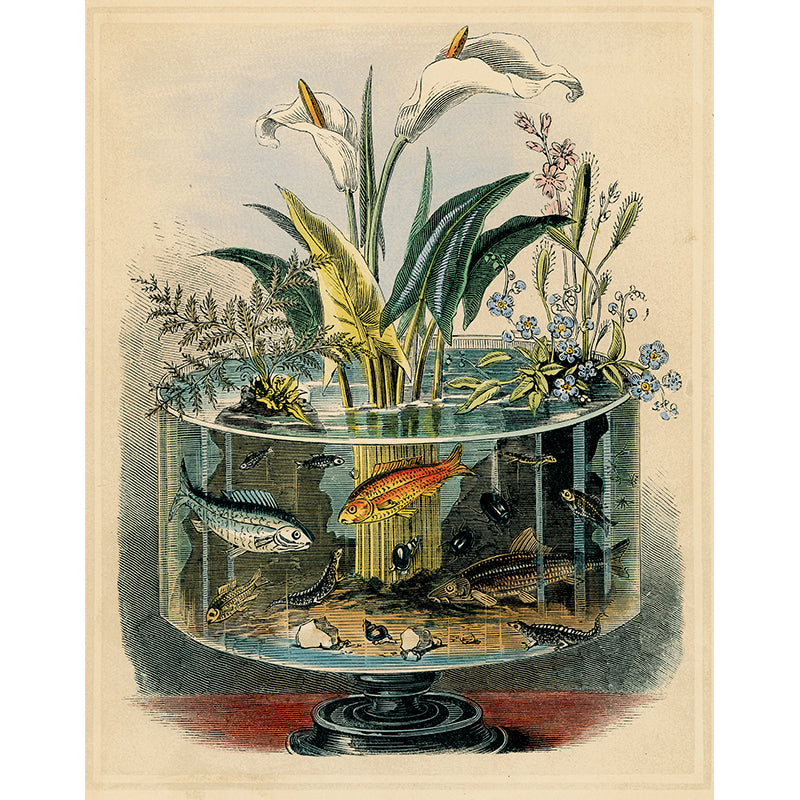 Circular Aquarium (p 173)