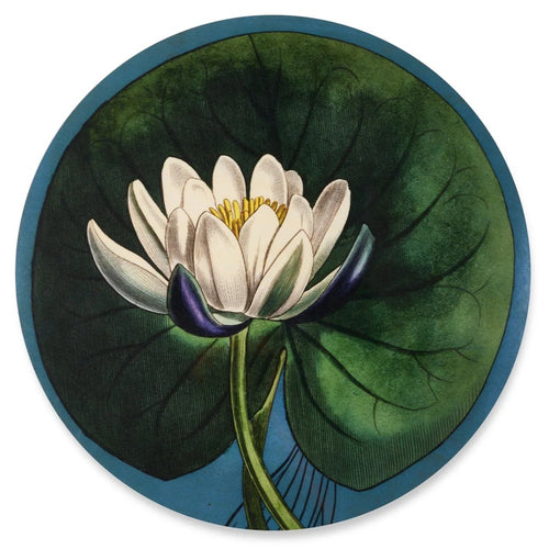 Summerill & Bishop x John Derian 'Water Lily' Round Cork-Backed Placemat