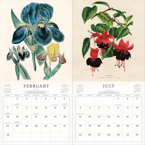 A vintage-style botanical calendar spread showing two illustrated plant pages: blue and yellow irises on the left and red fuchsia flowers on the right, with monthly calendars for February and July printed below each illustration.