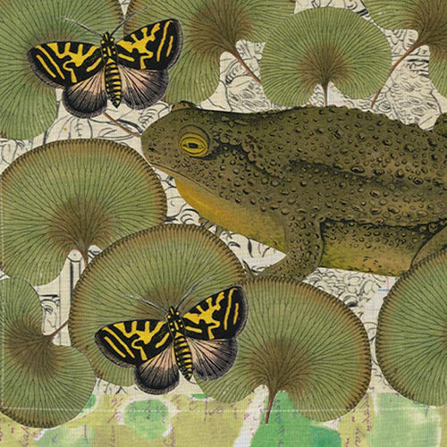 Toad Butterflies Linen Placemat Set of 2