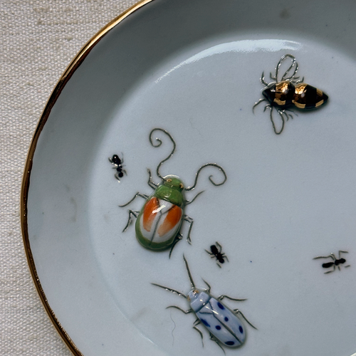 Beetle, and Bumble Bee Bug Dish (BC171)