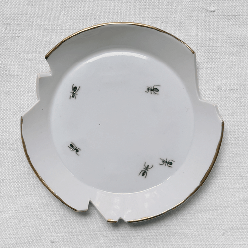 Broken Ant Dish (BC173)