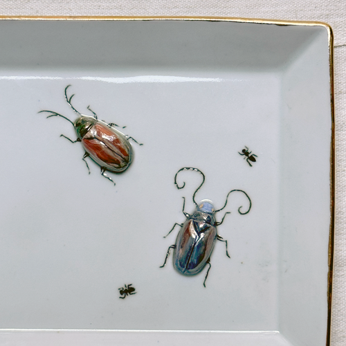 Beetles, and Bumble Bee Rectangular Bug Plate (BC165)
