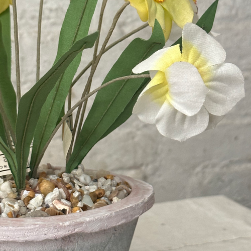 Potted Charles Lubin Vintage Silk Yellow & White Narcissus by Christopher D. Bassett