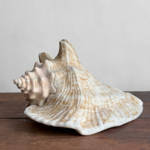 Needle Felted Queen Conch Shell