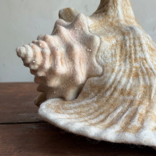 Needle Felted Queen Conch Shell
