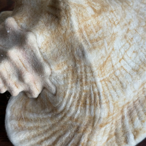 Needle Felted Queen Conch Shell
