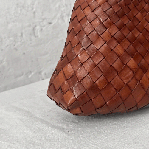 Leather Dragon Diffusion Rosanna Bag in Tan