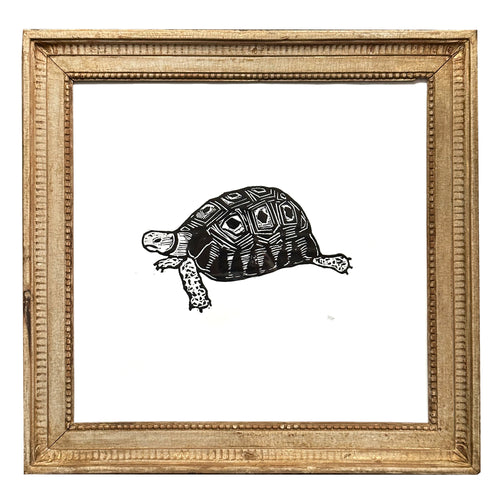 "Turtle" in Wood Frame