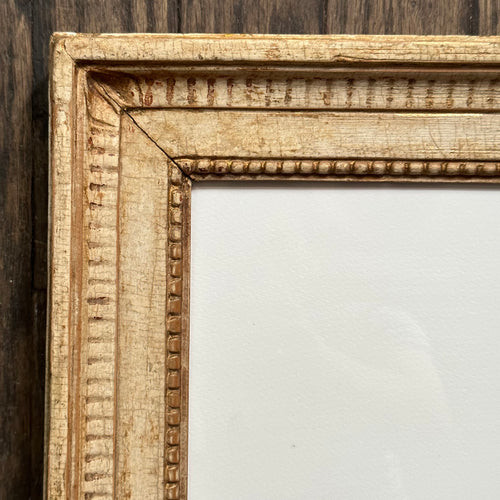 "Turtle" in Wood Frame