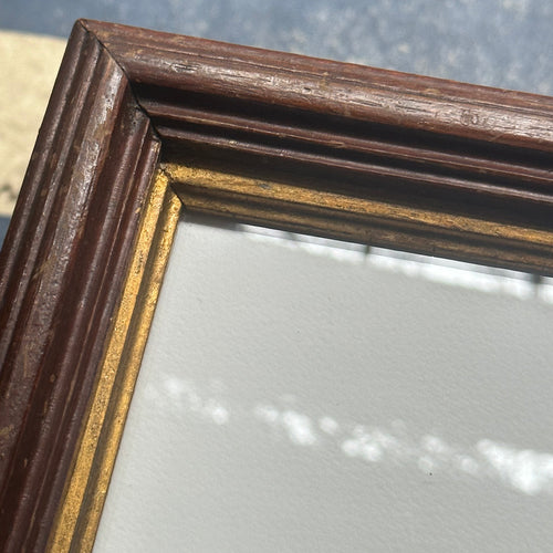 "Left Facing Pigeon" in an 19th Century Antique Frame