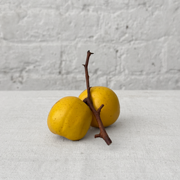Double Porcelain Quince on Twig