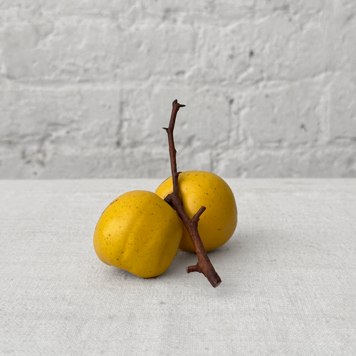 Double Porcelain Quince on Twig (PP04)