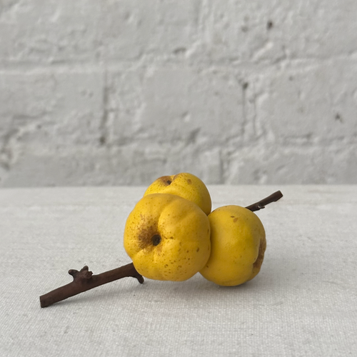 Tripple Porcelain Quince on Twig (PP05)