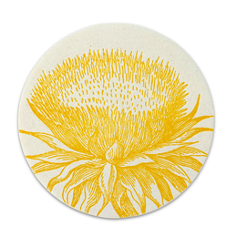 Set of 8 Letterpress Yellow Thistle Coasters