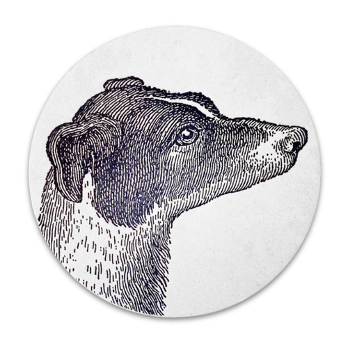 Set of 8 Letterpress Dog Coasters