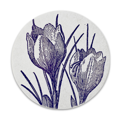Set of 8 Letterpress Crocus Coasters