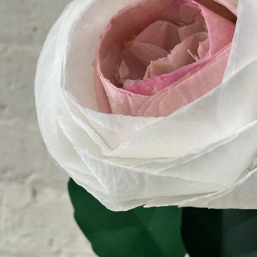 The Green Vase Chevalier Rose Stem (No. 1)