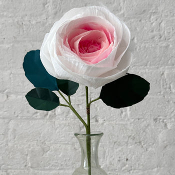 The Green Vase Chevalier Rose Stem (No. 3)