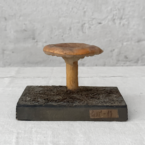 Antique Mushroom Model #1