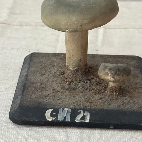 Antique Mushroom Model #5