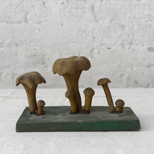 Antique Mushroom Model #8
