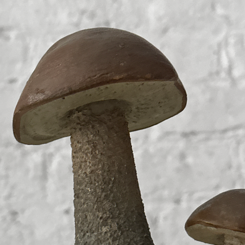Antique Mushroom Model #10