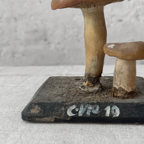 Antique Mushroom Model #13