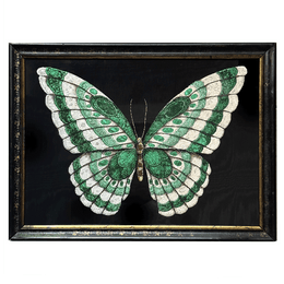 Hand Embroidered Green Butterfly by Zara Merrick in a 19th Century Antique Frame
