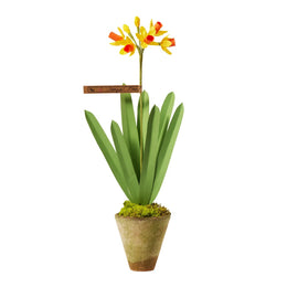 The Green Vase Potted Janquil Plant