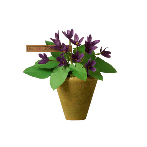 The Green Vase Potted Violet Plant