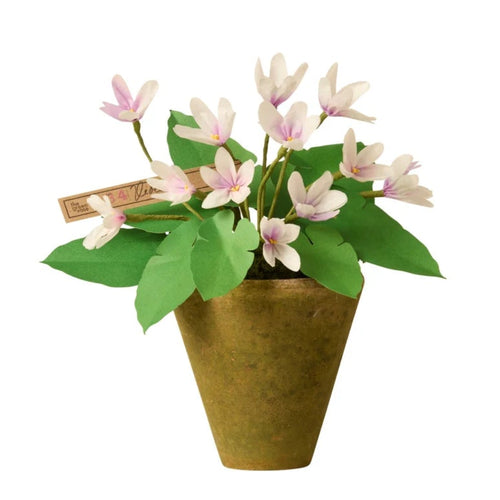 The Green Vase Potted Violet Plant