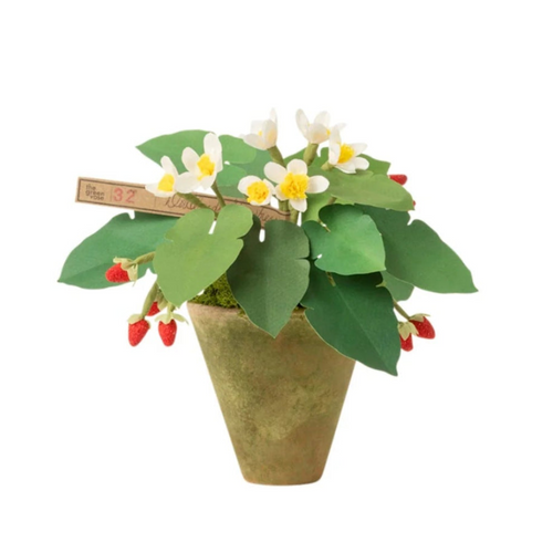 The Green Vase Potted Strawberry Plant