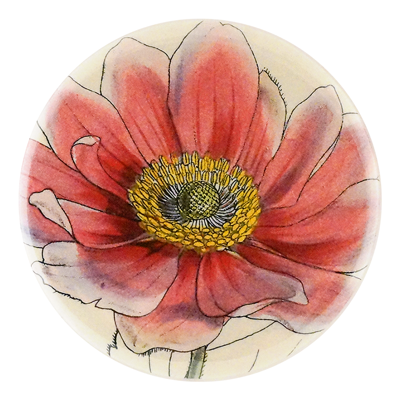 Anemone Japonica Pink