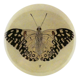 Butterfly F (Beige)