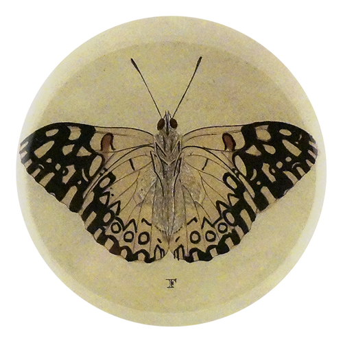 Butterfly F (Beige)